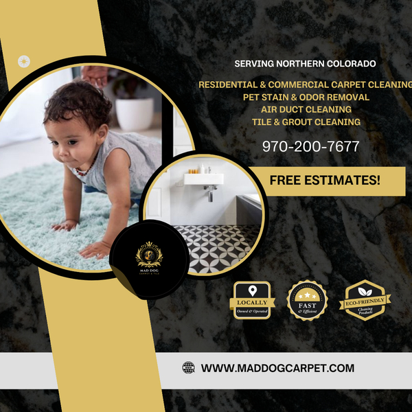 Cover photo of Mad Dog Carpet and Tile Cleaning